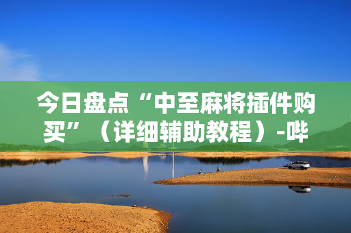 今日盘点“中至麻将插件购买”（详细辅助教程）-哔哩哔哩