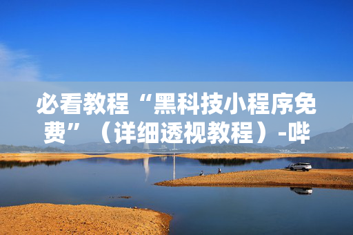 必看教程“黑科技小程序免费”（详细透视教程）-哔哩哔哩