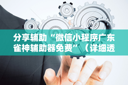 分享辅助“微信小程序广东雀神辅助器免费”（详细透视教程）-哔哩哔哩