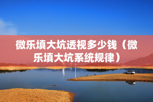 微乐填大坑透视多少钱（微乐填大坑系统规律）