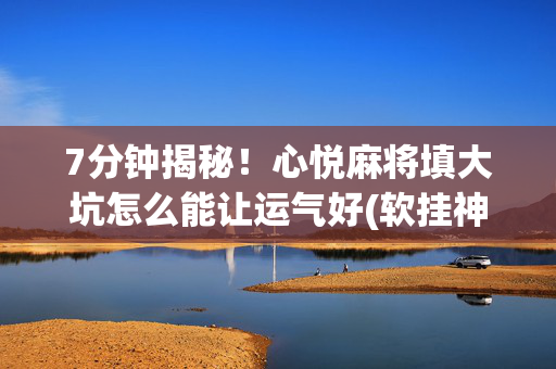 7分钟揭秘！心悦麻将填大坑怎么能让运气好(软挂神器)