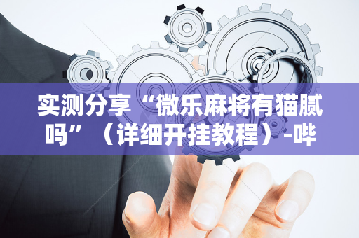 实测分享“微乐麻将有猫腻吗”（详细开挂教程）-哔哩哔哩