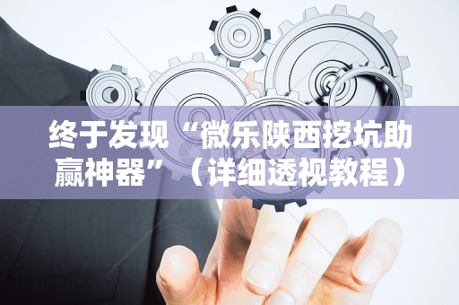 终于发现“微乐陕西挖坑助赢神器”（详细透视教程）-哔哩哔哩
