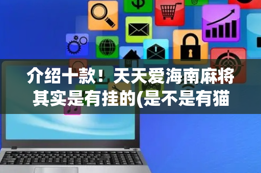 介绍十款！天天爱海南麻将其实是有挂的(是不是有猫腻)