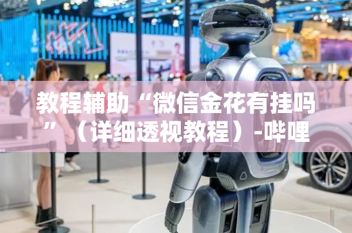 教程辅助“微信金花有挂吗”（详细透视教程）-哔哩哔哩