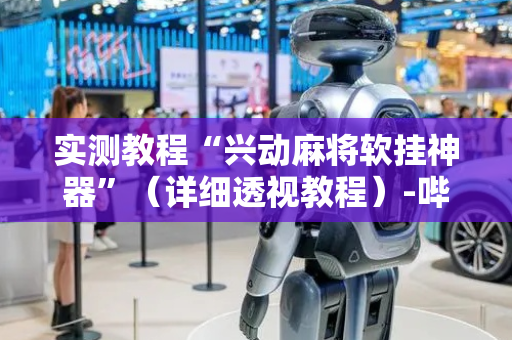 实测教程“兴动麻将软挂神器”（详细透视教程）-哔哩哔哩