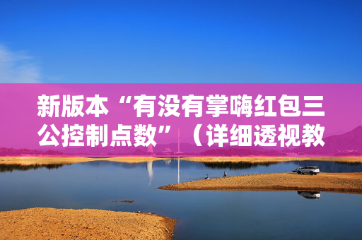 新版本“有没有掌嗨红包三公控制点数”（详细透视教程）-哔哩哔哩