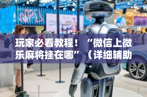 玩家必看教程！“微信上微乐麻将挂在哪”（详细辅助教程）-哔哩哔哩