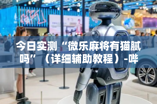 今日实测“微乐麻将有猫腻吗”（详细辅助教程）-哔哩哔哩