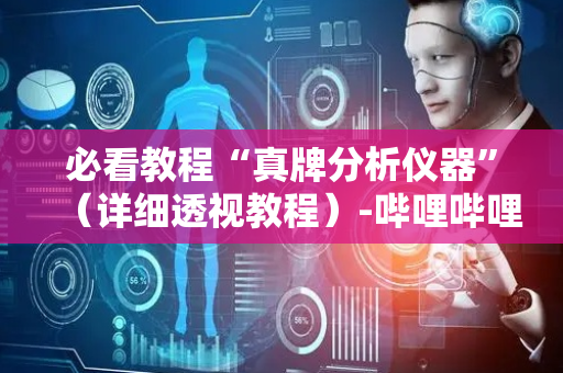 必看教程“真牌分析仪器”（详细透视教程）-哔哩哔哩