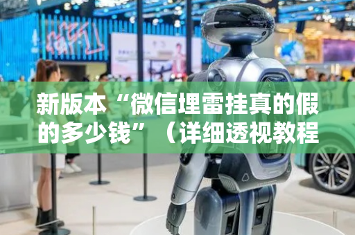 新版本“微信埋雷挂真的假的多少钱”（详细透视教程）-哔哩哔哩