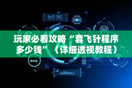玩家必看攻略“套飞针程序多少钱”（详细透视教程）-哔哩哔哩