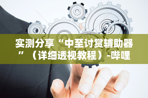 实测分享“中至讨赏辅助器”（详细透视教程）-哔哩哔哩