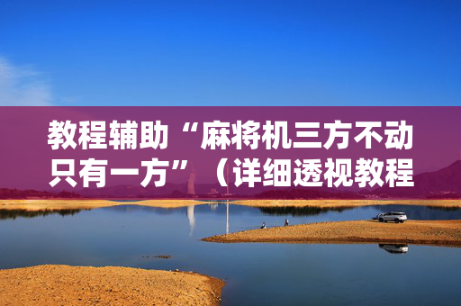 教程辅助“麻将机三方不动只有一方”（详细透视教程）-哔哩哔哩