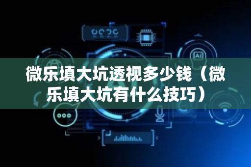 微乐填大坑透视多少钱（微乐填大坑有什么技巧）