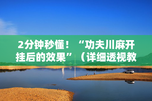 2分钟秒懂！“功夫川麻开挂后的效果”（详细透视教程）-哔哩哔哩