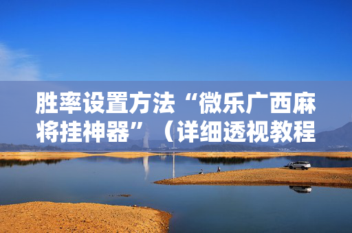 胜率设置方法“微乐广西麻将挂神器”（详细透视教程）-哔哩哔哩