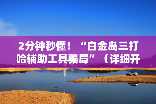 2分钟秒懂！“白金岛三打哈辅助工具骗局”（详细开挂教程）-哔哩哔哩