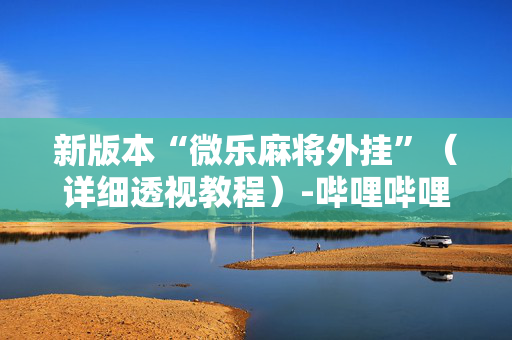 新版本“微乐麻将外挂”（详细透视教程）-哔哩哔哩