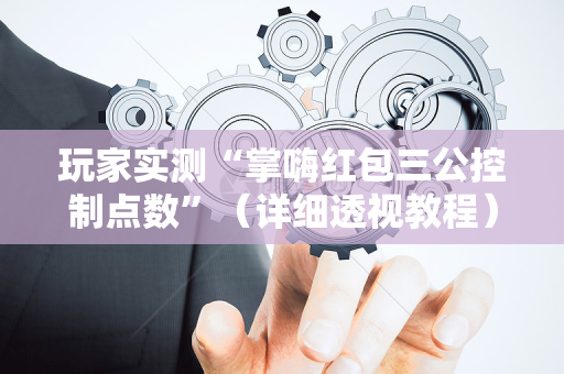 玩家实测“掌嗨红包三公控制点数”（详细透视教程）-哔哩哔哩