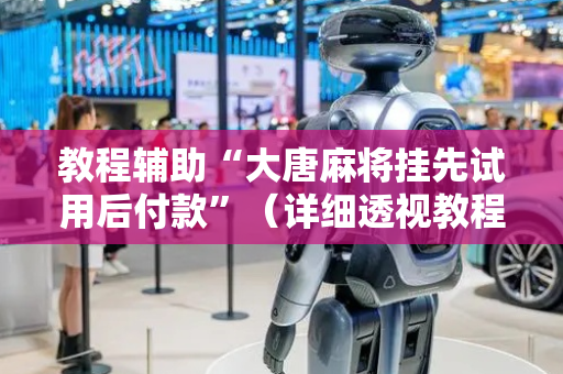 教程辅助“大唐麻将挂先试用后付款”（详细透视教程）-哔哩哔哩