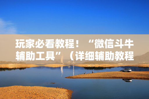 玩家必看教程！“微信斗牛辅助工具”（详细辅助教程）-哔哩哔哩