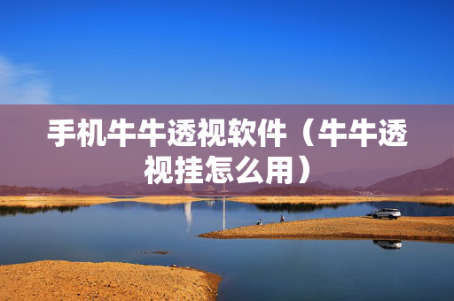 手机牛牛透视软件（牛牛透视挂怎么用）