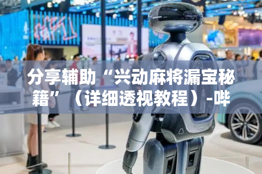 分享辅助“兴动麻将漏宝秘籍”（详细透视教程）-哔哩哔哩