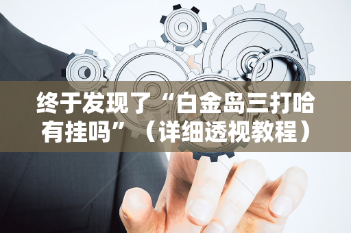 终于发现了“白金岛三打哈有挂吗”（详细透视教程）-哔哩哔哩