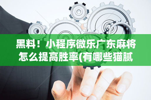 黑料！小程序微乐广东麻将怎么提高胜率(有哪些猫腻)