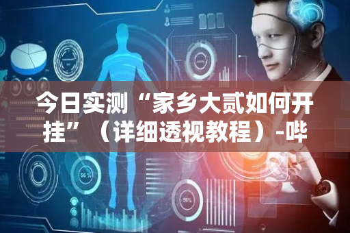 今日实测“家乡大贰如何开挂”（详细透视教程）-哔哩哔哩