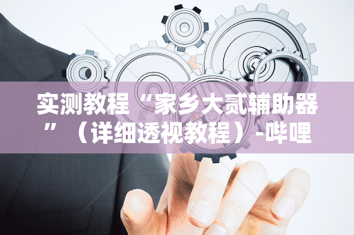 实测教程“家乡大贰辅助器”（详细透视教程）-哔哩哔哩