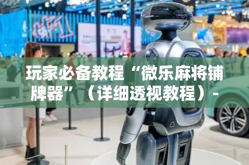 玩家必备教程“微乐麻将铺牌器”（详细透视教程）-哔哩哔哩