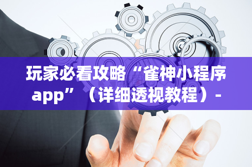 玩家必看攻略“雀神小程序app”（详细透视教程）-哔哩哔哩