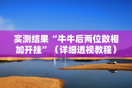 实测结果“牛牛后两位数相加开挂”（详细透视教程）-哔哩哔哩