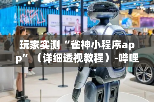 玩家实测“雀神小程序app”（详细透视教程）-哔哩哔哩