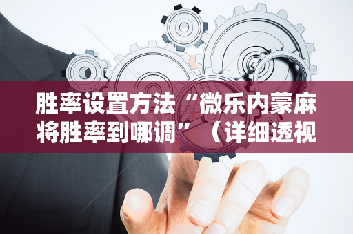 胜率设置方法“微乐内蒙麻将胜率到哪调”（详细透视教程）-哔哩哔哩