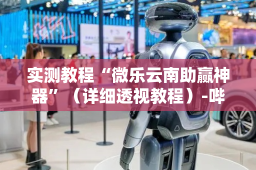 实测教程“微乐云南助赢神器”（详细透视教程）-哔哩哔哩