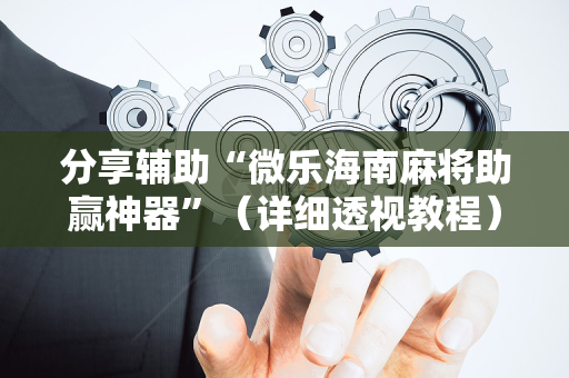 分享辅助“微乐海南麻将助赢神器”（详细透视教程）-哔哩哔哩