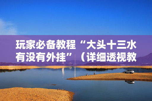 玩家必备教程“大头十三水有没有外挂”（详细透视教程）-哔哩哔哩