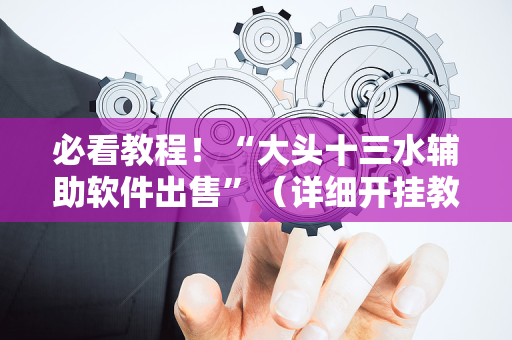 必看教程！“大头十三水辅助软件出售”（详细开挂教程）-哔哩哔哩