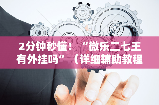 2分钟秒懂！“微乐二七王有外挂吗”（详细辅助教程）-哔哩哔哩