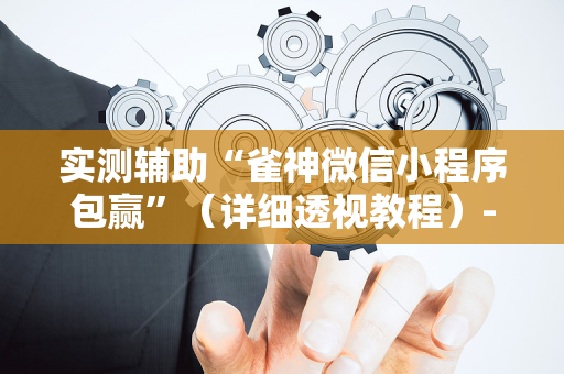 实测辅助“雀神微信小程序包赢”（详细透视教程）-哔哩哔哩
