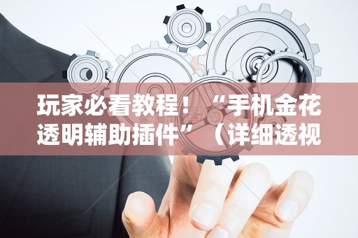玩家必看教程！“手机金花透明辅助插件”（详细透视教程）-哔哩哔哩