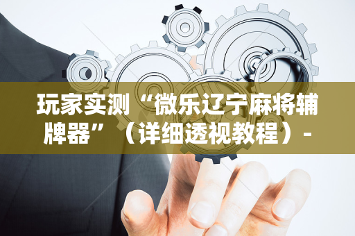 玩家实测“微乐辽宁麻将辅牌器”（详细透视教程）-哔哩哔哩
