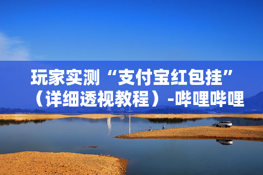 玩家实测“支付宝红包挂”（详细透视教程）-哔哩哔哩