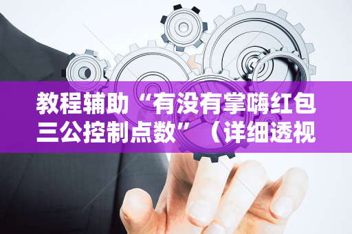 教程辅助“有没有掌嗨红包三公控制点数”（详细透视教程）-哔哩哔哩