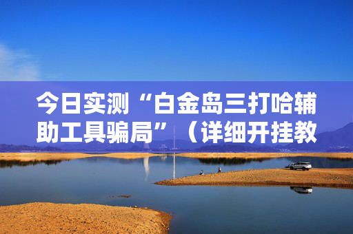 今日实测“白金岛三打哈辅助工具骗局”（详细开挂教程）-哔哩哔哩