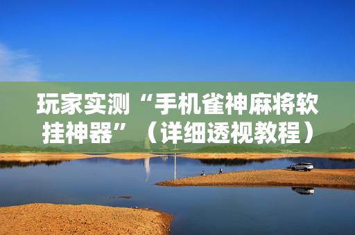 玩家实测“手机雀神麻将软挂神器”（详细透视教程）-哔哩哔哩