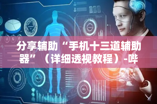 分享辅助“手机十三道辅助器”（详细透视教程）-哔哩哔哩